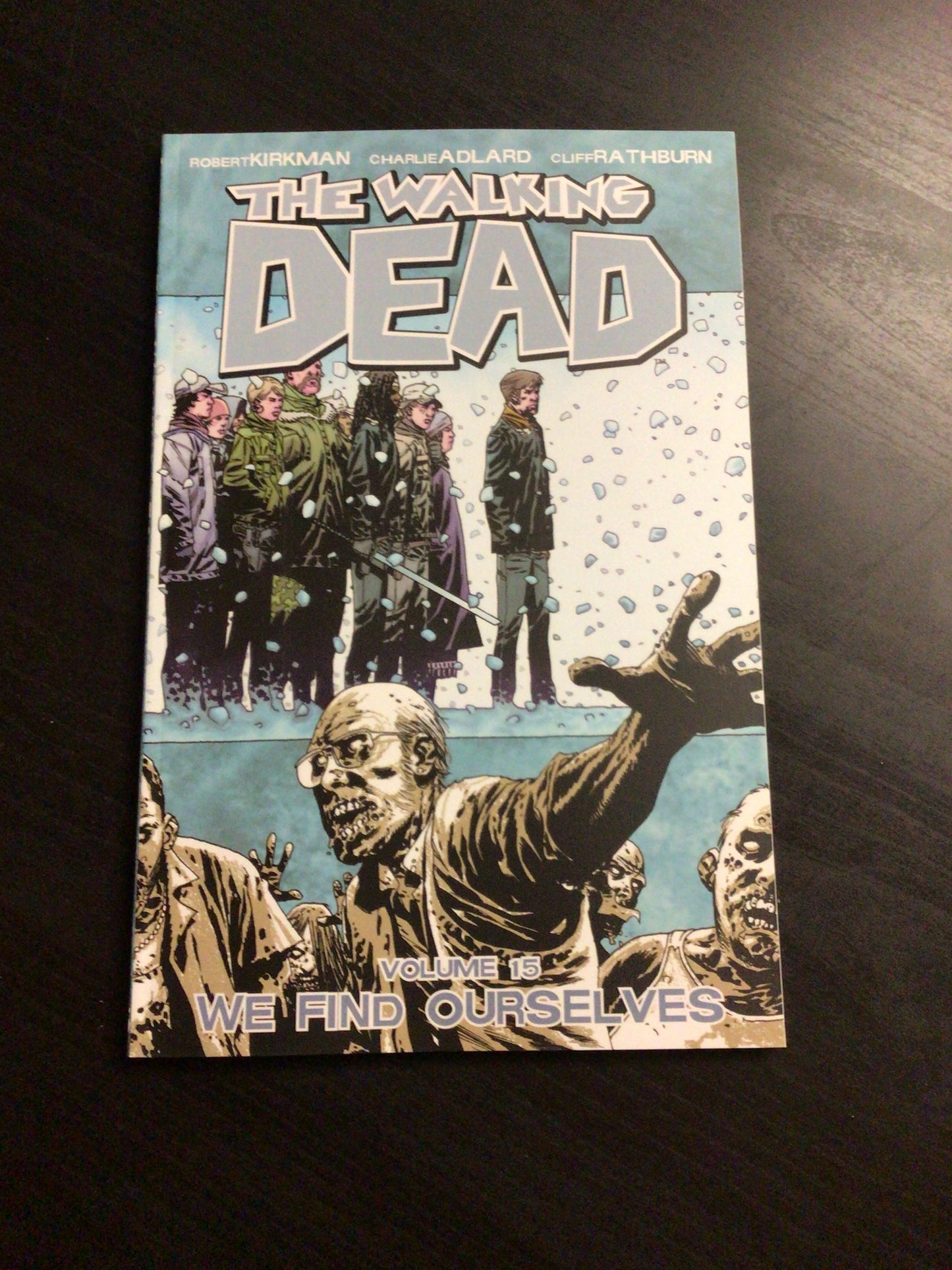 The Walking Dead Vol 15