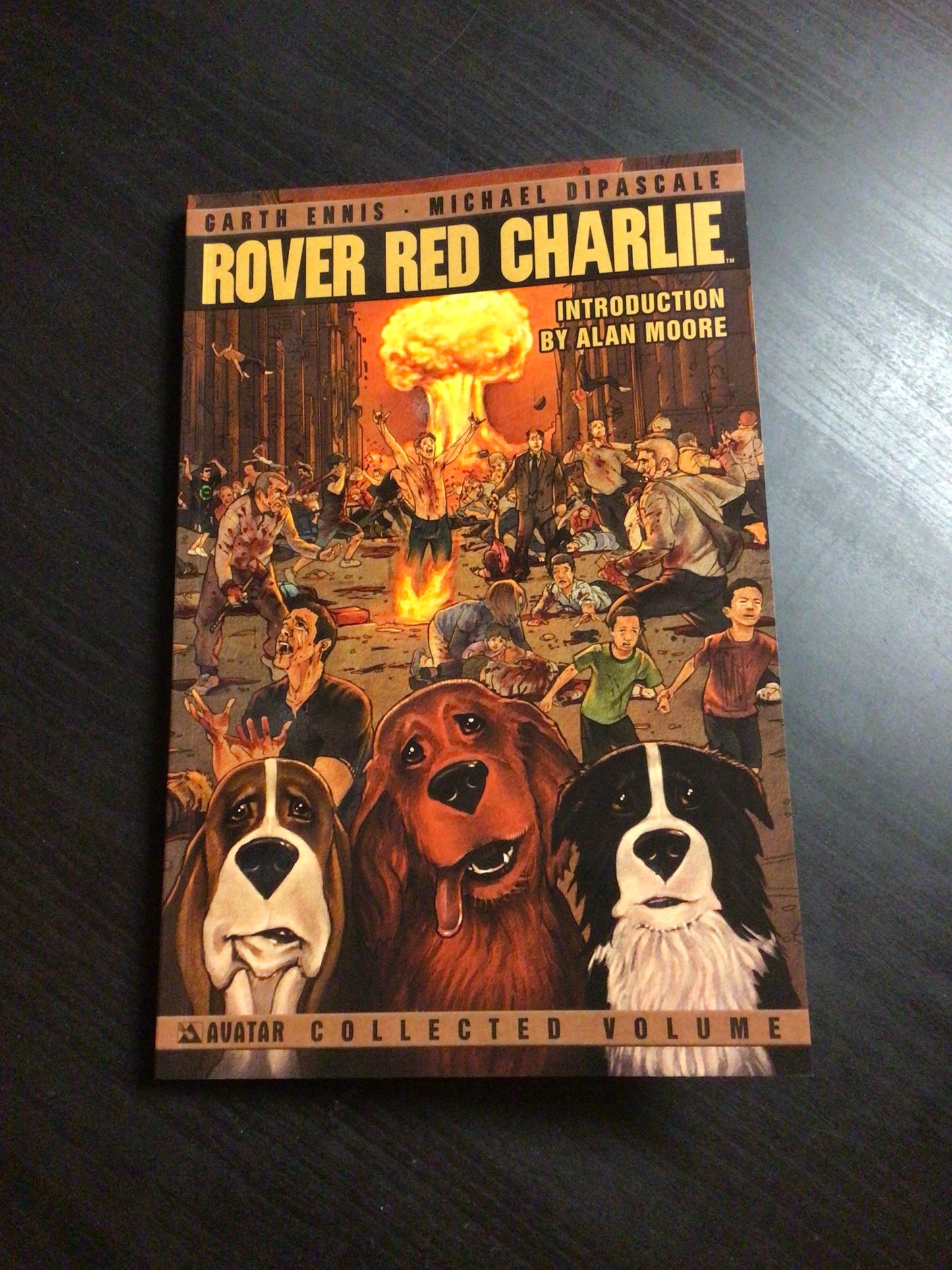 Rover Red Charlie