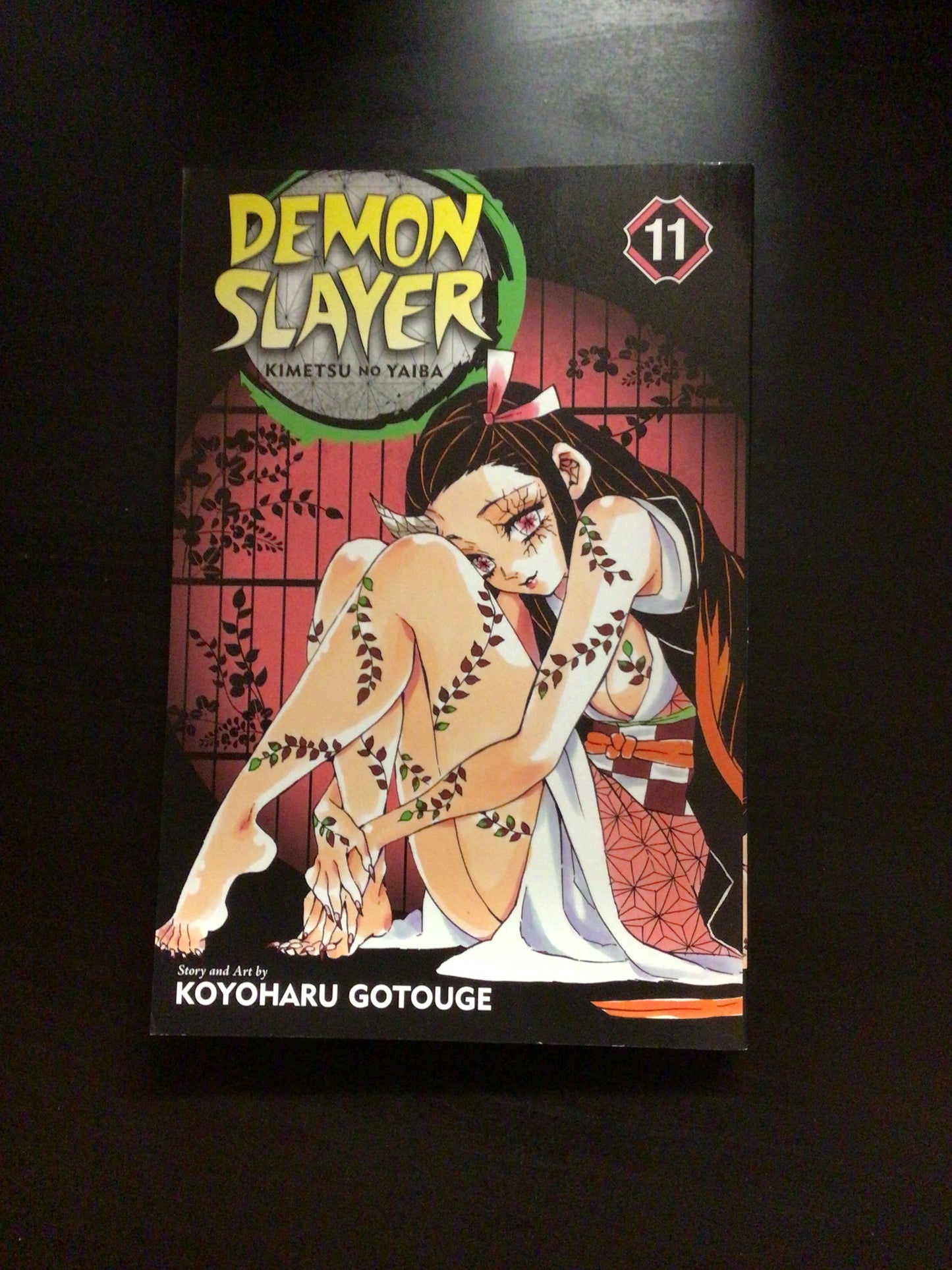 Demon Slayer Vol 11