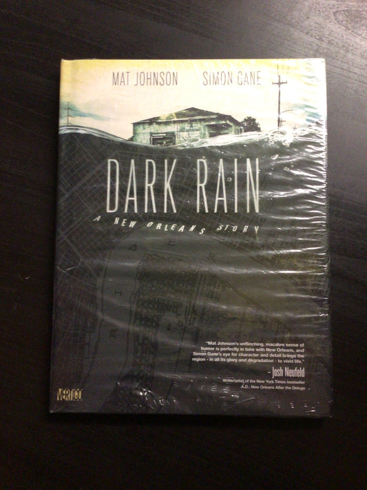 Dark Rain A New Orleans Story