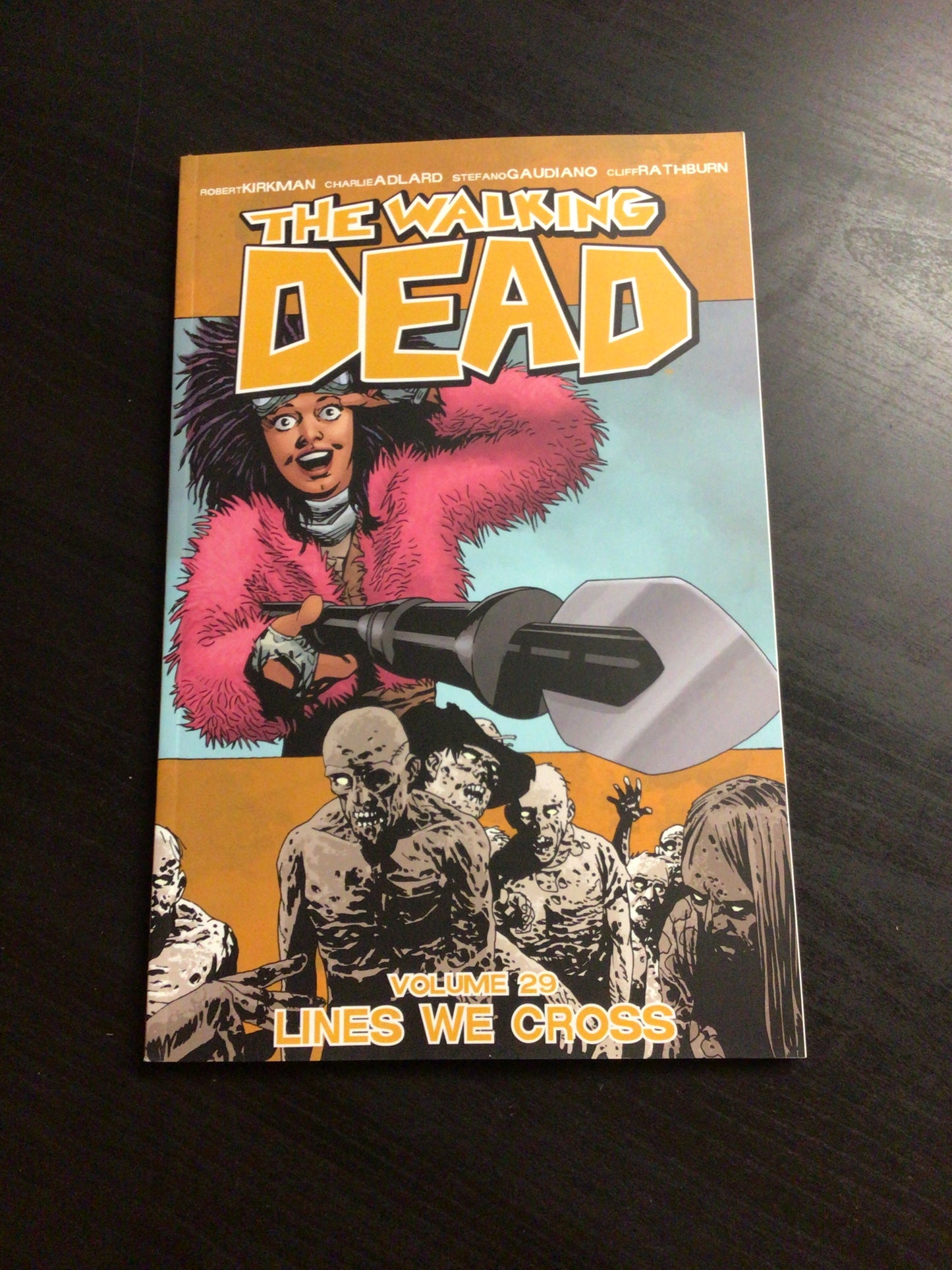 The Walking Dead Vol 29