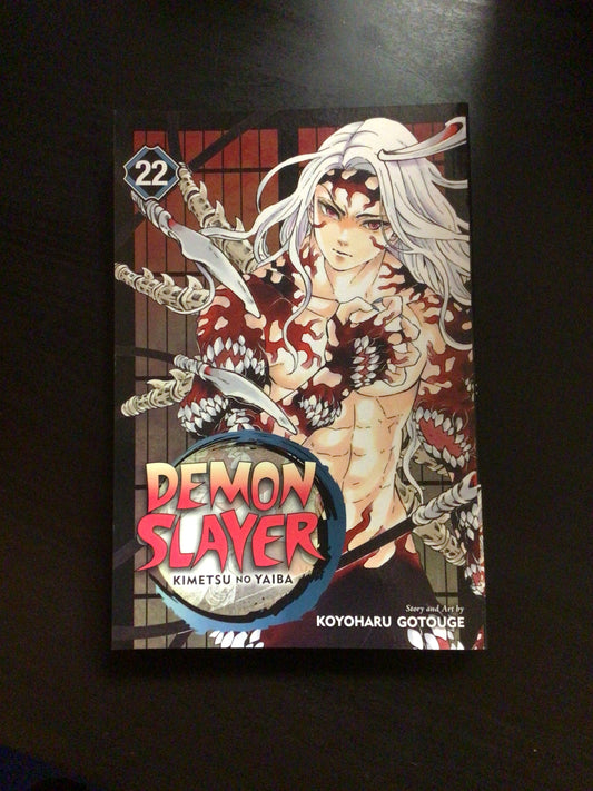 Demon Slayer Vol 22