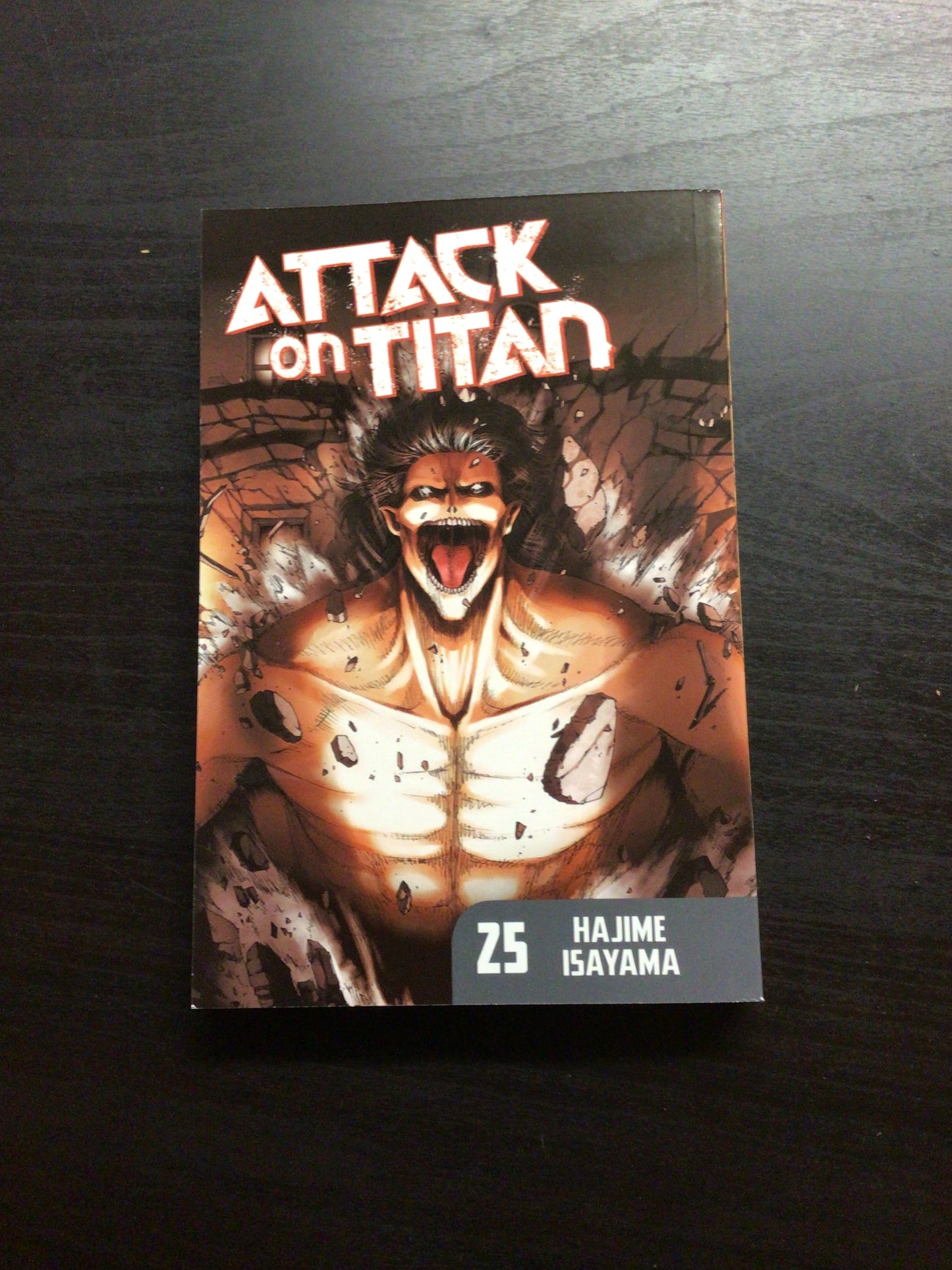 Attack On Titan Vol 25