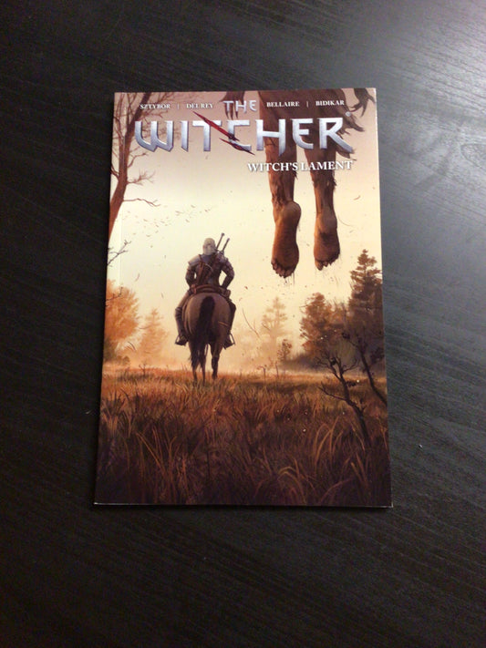 The Witcher Vol 6