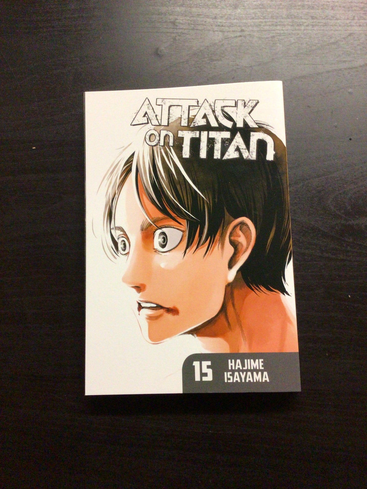 Attack On Titan Vol 15