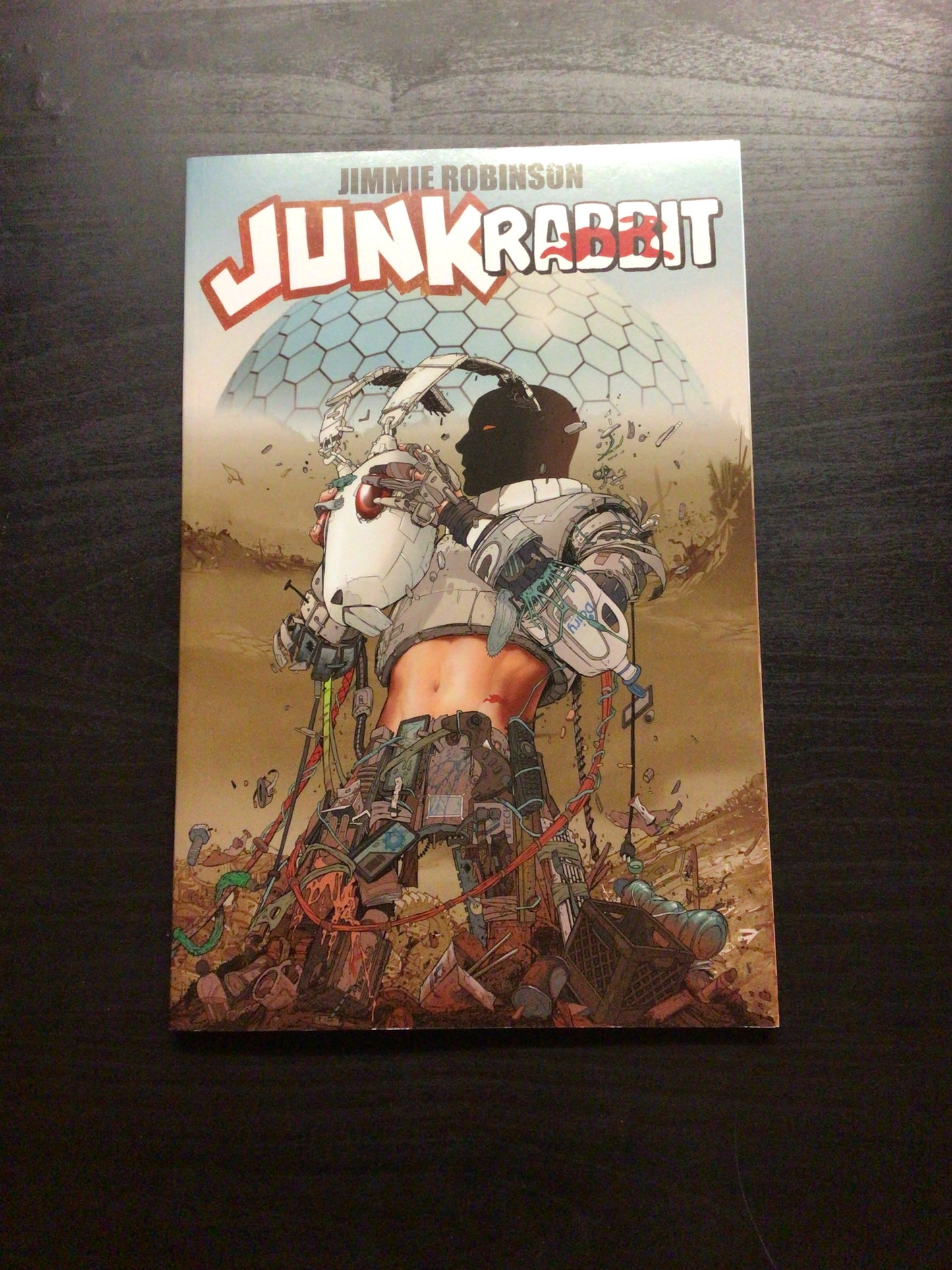 Junk Rabbit TP