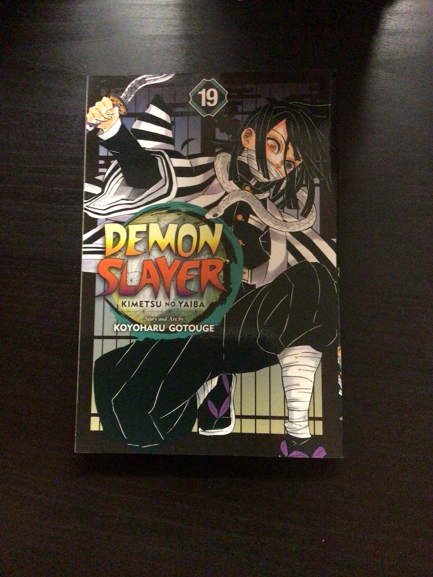 Demon Slayer Vol 19