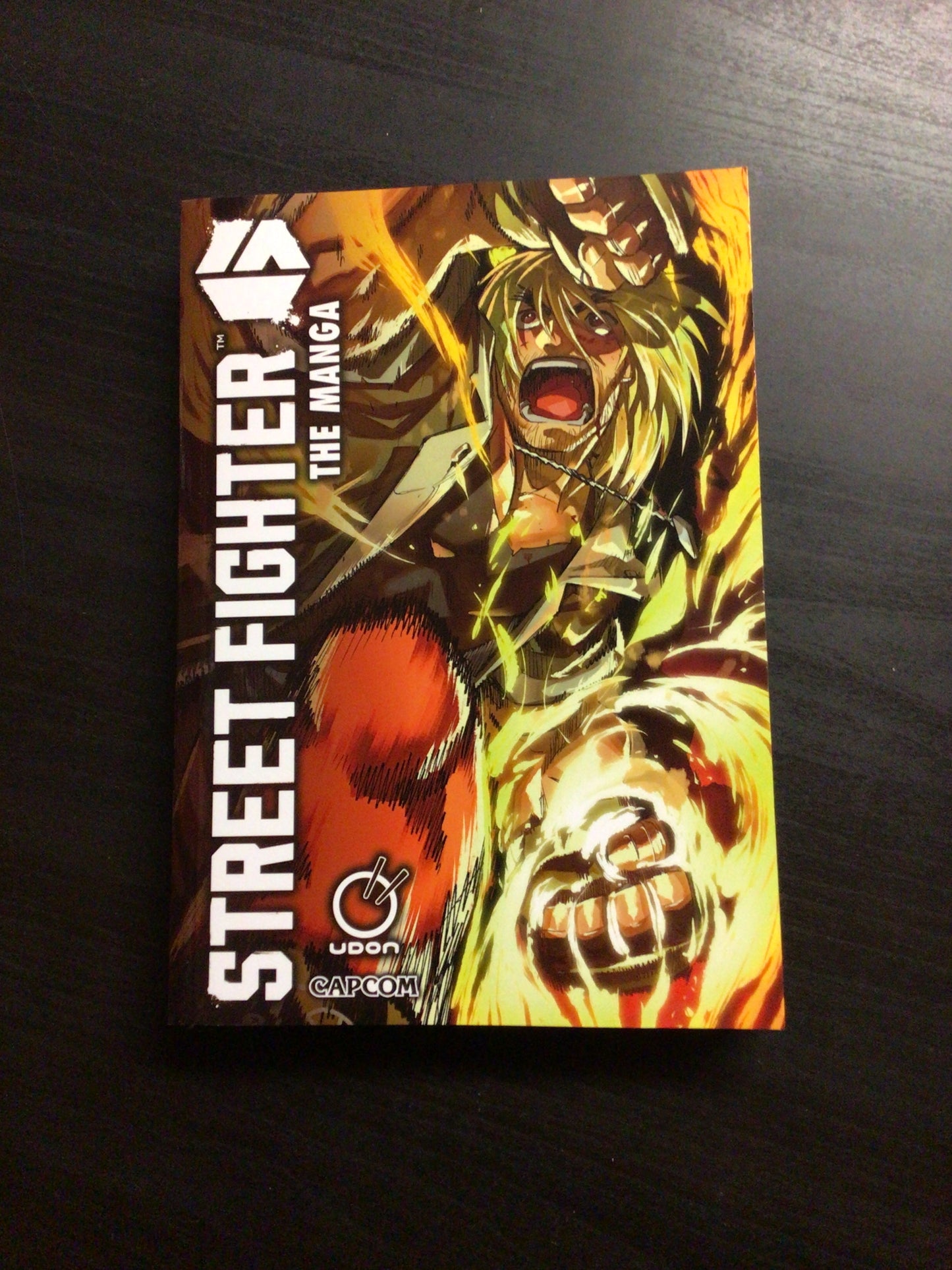 Street Fighter 6 The Manga