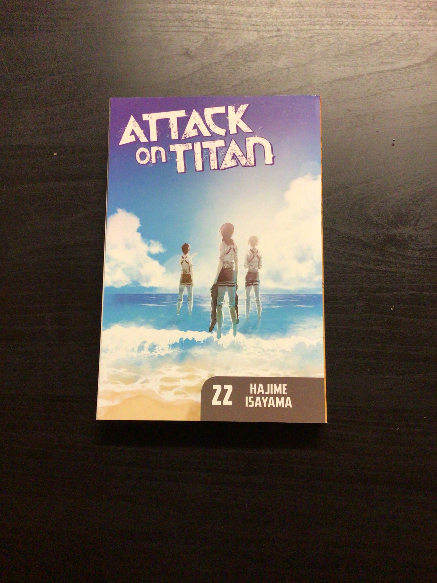 Attack On Titan Vol 22