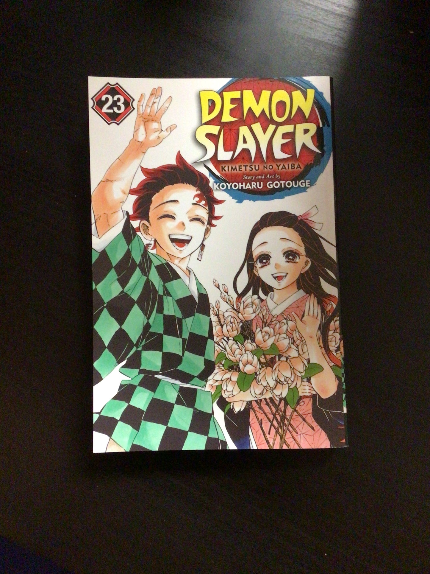 Demon Slayer Vol 23