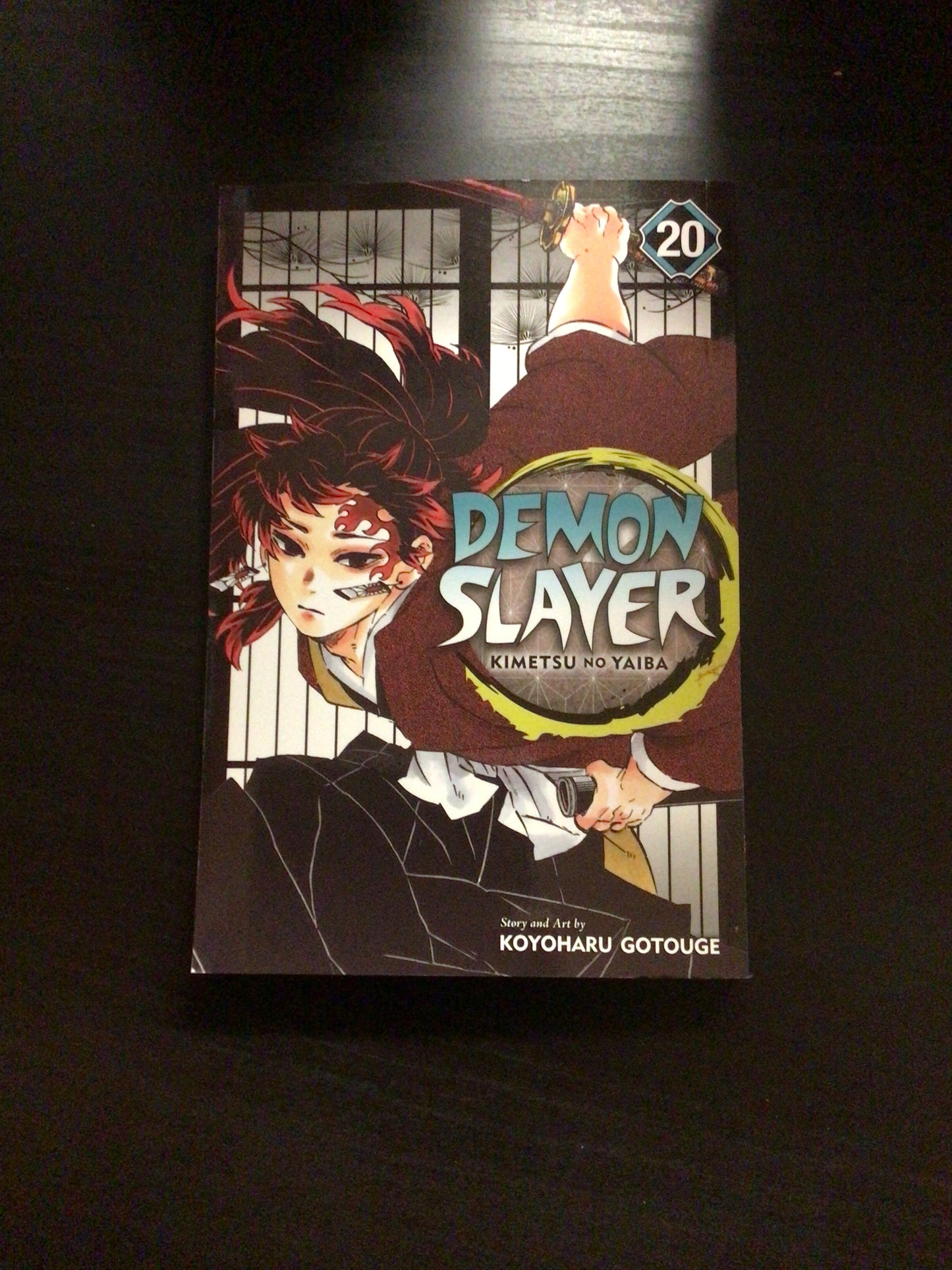 Demon Slayer Vol 20